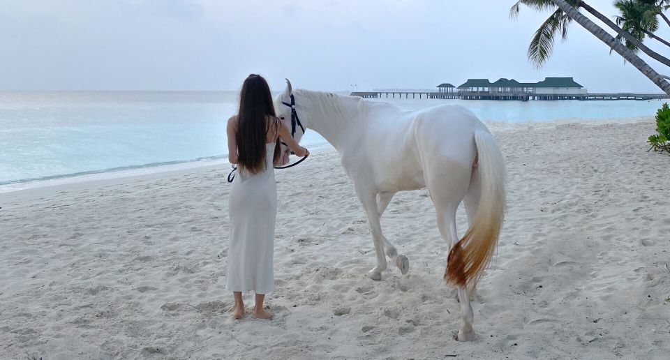 Holbox: Guided Horseback Ride on the Beach - Live Tour Guide