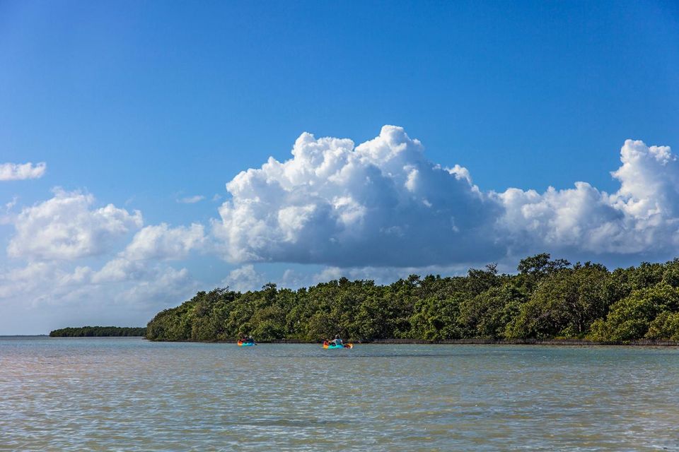 Holbox: Guided Kayaking Through Holbox's Mangroves - Common questions