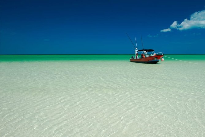 Holbox Island Full Day Trip With Lunch From Playa Del Carmen - Last Words