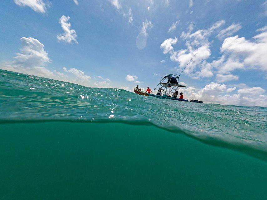 Holbox: Whale Shark Encounter and Marine Adventure - Directions