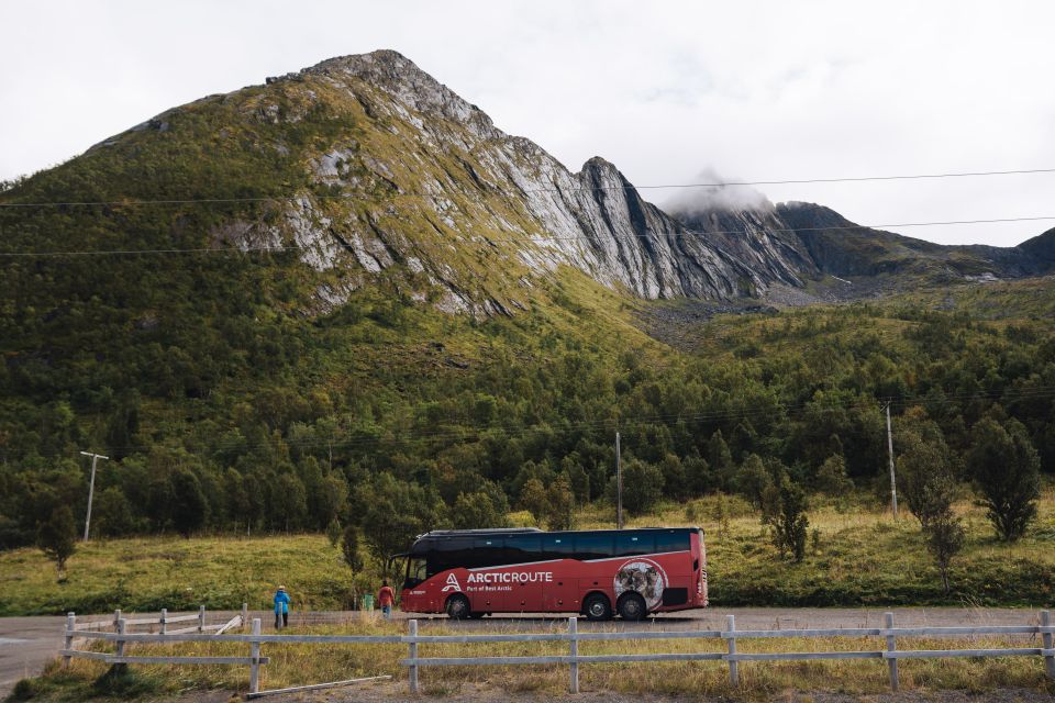 Hop-On/Hop-Off to 15 Places With the Arctic Route in Norway - Travel Flexibility Options