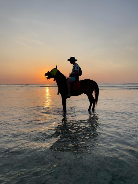 Horse Ride On The Beach on Gili Island - Common questions
