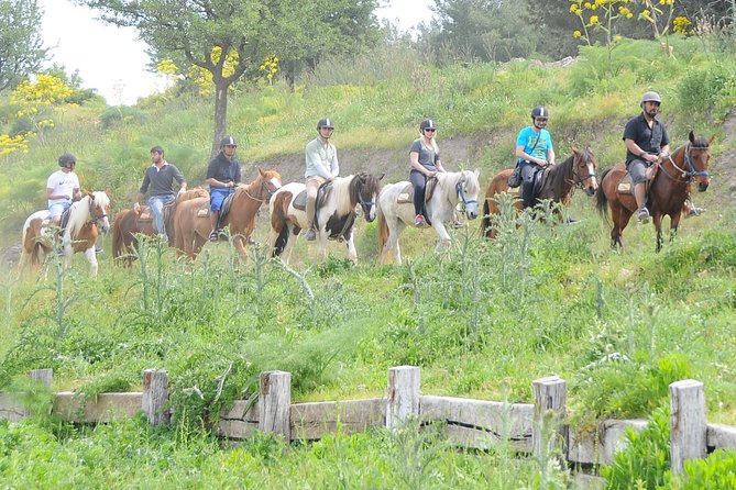 Horse Riding in Kusadasi - Rider Experience