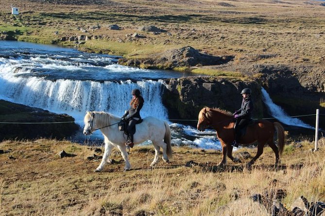 Horse Riding Tour to the Glacier River Delta With Waterfall - Last Words