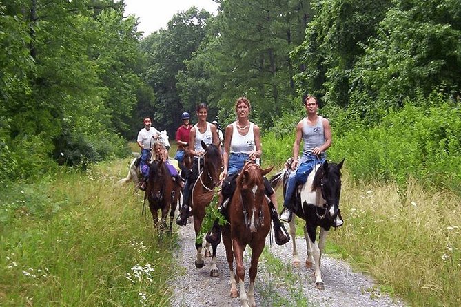 Horseback Riding Adventure Tour From Kusadasi and Selcuk - Common questions