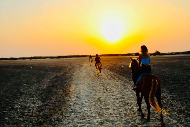 Horseback Riding at Sunrise 3h - Maximum Traveler Limit