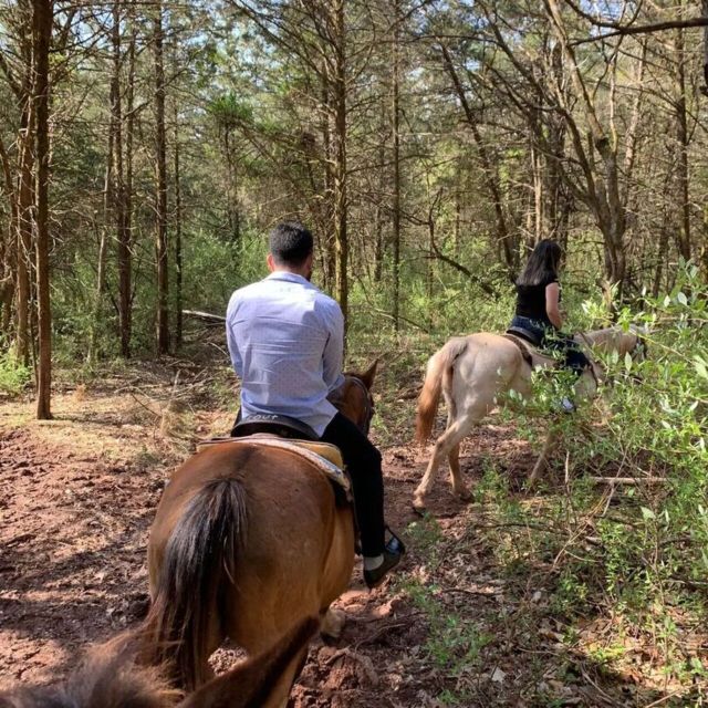 Horseback Riding, Country Bufet and Live Music - Last Words