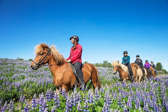 Horseback Riding Tour in Iceland - Product Details