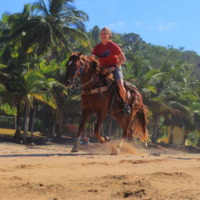 Horseback Riding - Safety and Requirements