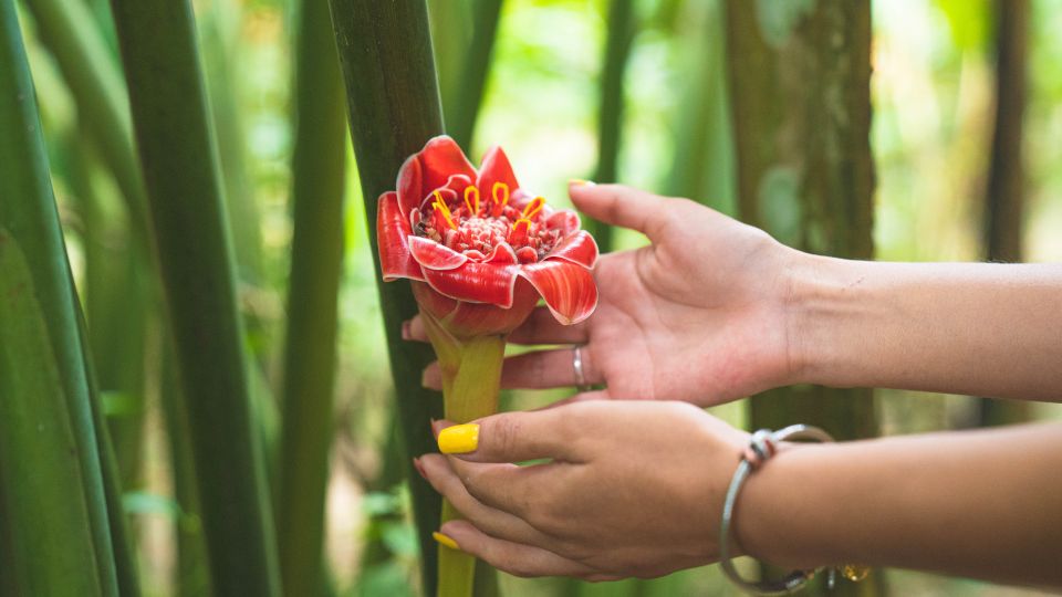 Huatulco: Nature Park With Fruit Tasting & Optional Zipline - Customer Reviews and Ratings