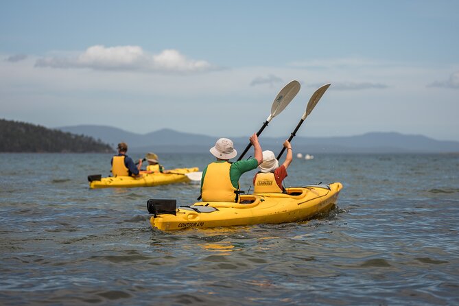Huon Valley Kayaking and Tahune Adventures - Booking Information