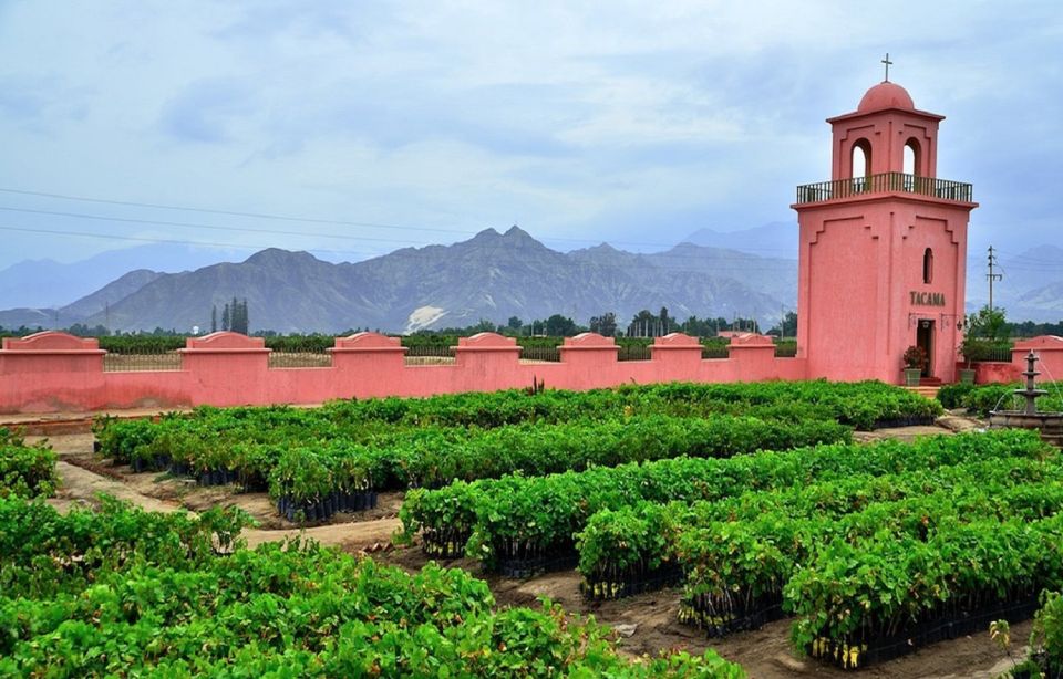 Ica: Pisco Wineries and Vineyards Day Tour - Oldest Winery in South America