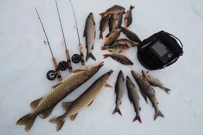 Ice Fishing Trip at Lake Inari - Last Words