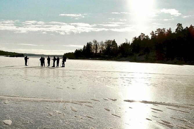 Ice Skating Small-Group in Lake Drevviken - Pricing and Terms