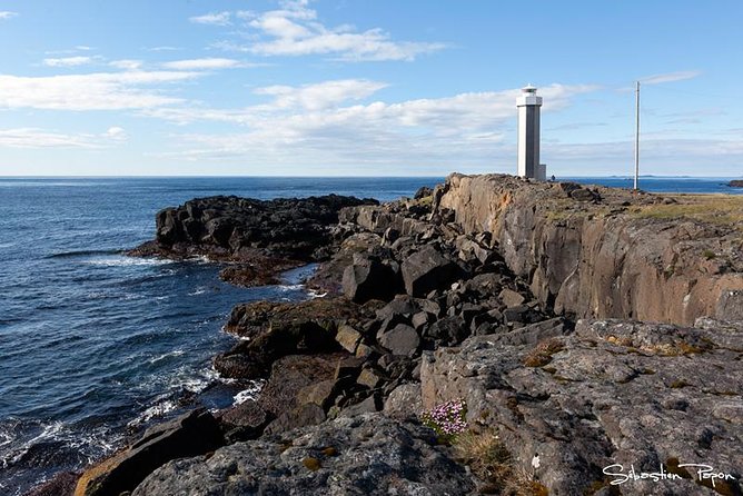 Iceland Eastfjords by Jeep Small-Group Shore Excursion  - Vatnajokull National Park - Pricing and Booking Information