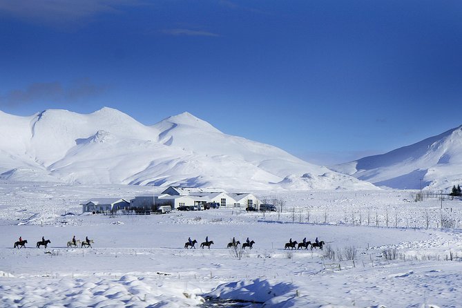 Icelandic Horseback Riding Including Pick up From Reykjavik - Last Words