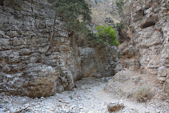 Imbros Gorge & Frangokastello - From Rethymno With the Best Guide - Common questions