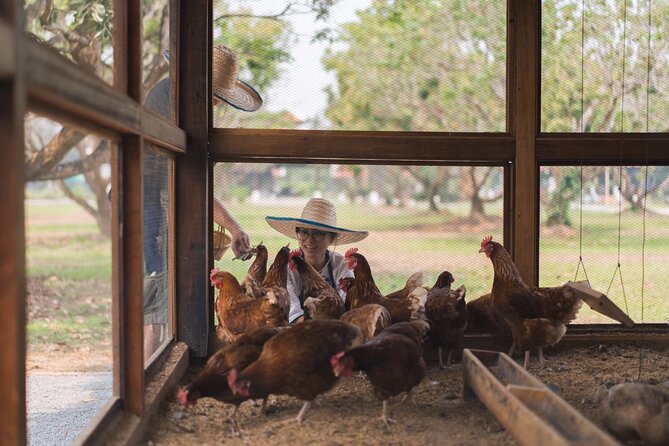 Indulge in Authentic Thai Flavors and Serene Organic Farm (Full Day Course) - Last Words