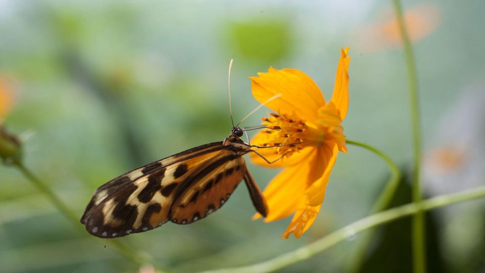 Iquitos: Incredible 4-Day Amazon Tour - Common questions