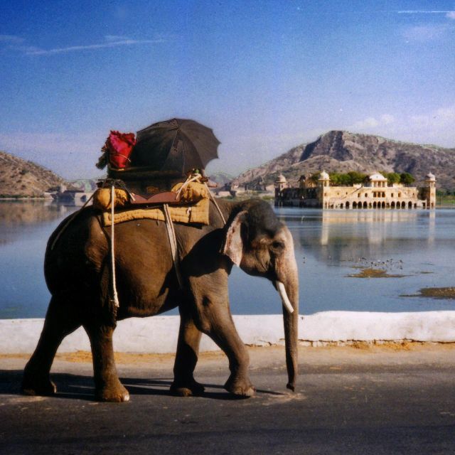 Jaipur: Private Instagram Tour of The Best Photography Spots - Last Words