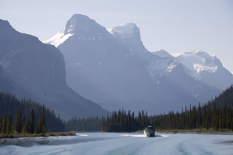 Jasper: Wildlife and Waterfalls Tour With Maligne Cruise - Last Words