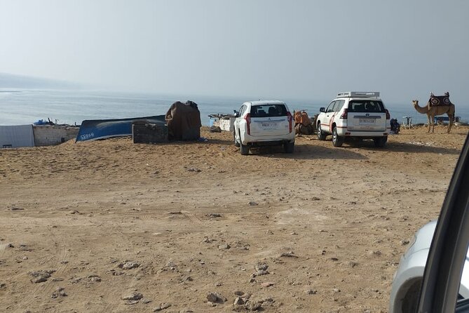 Jeep Tour to Mini Sahara With Lunch Small Group - Customer Reviews