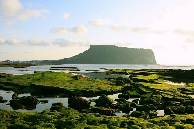 Jeju Customizable Private Tour - Common questions