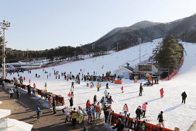 Jisan Forest Ski Resort One Day Tour With Basic Lesson - Last Words