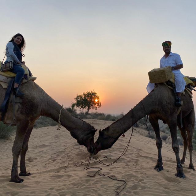 Jodhpur Camel Safari & Overnight Stay In Desert With Sumer - Last Words