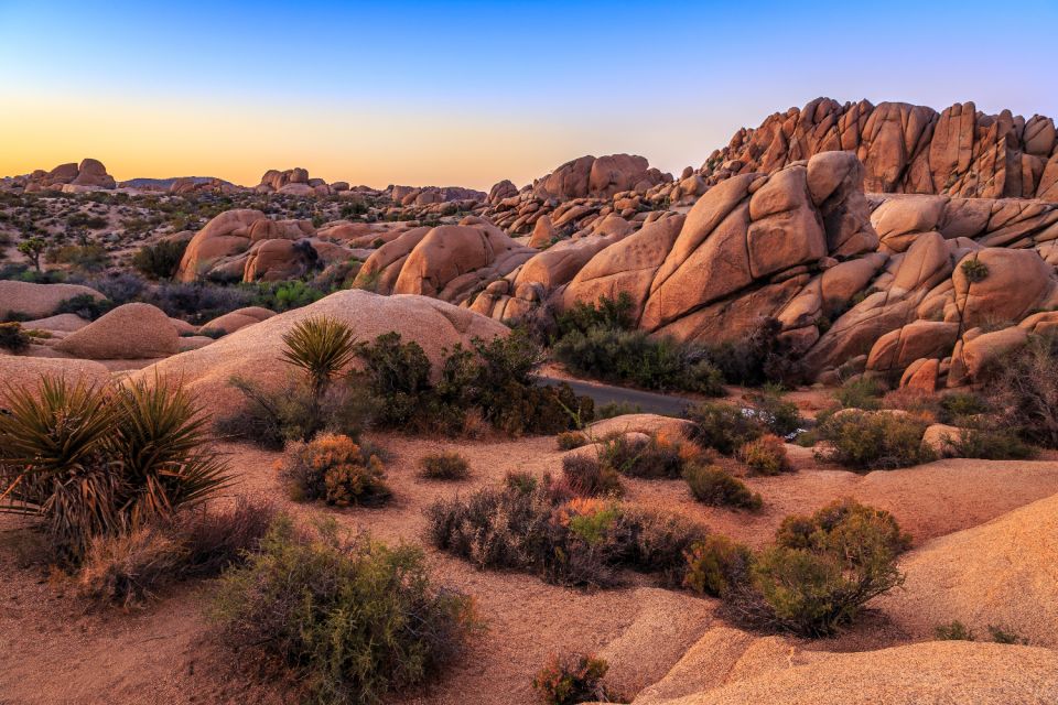 Joshua Tree National Park: Self-Driving Audio Tour - Tips for a Memorable Experience