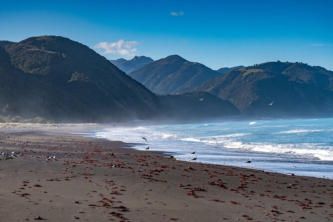 Kaikoura Day Tour With Kayak Experience From Christchurch - Booking Information