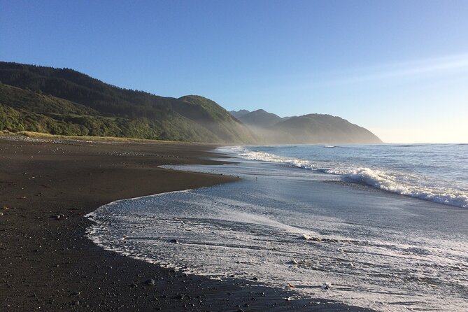 Kaikoura Day Trip From Christchurch (Small Group & Carbon Neutral) - Common questions