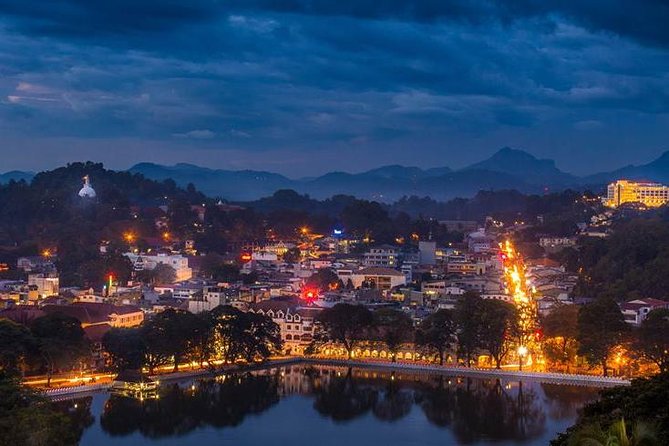 Kandy City Tour by Tuk Tuk - Traveler Assistance