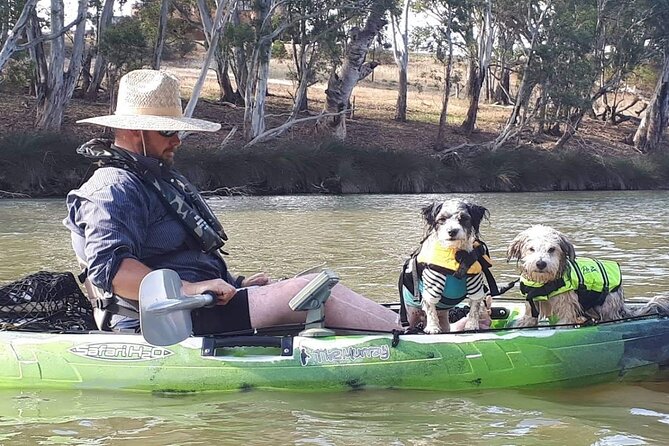 Kayak Self-Guided Tour on the Campaspe River Elmore, 30 Minutes From Bendigo - Cancellation Policy and Reviews