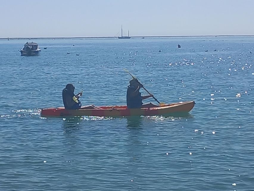 Kayak Tour in Ria Formosa - Olhão - Last Words