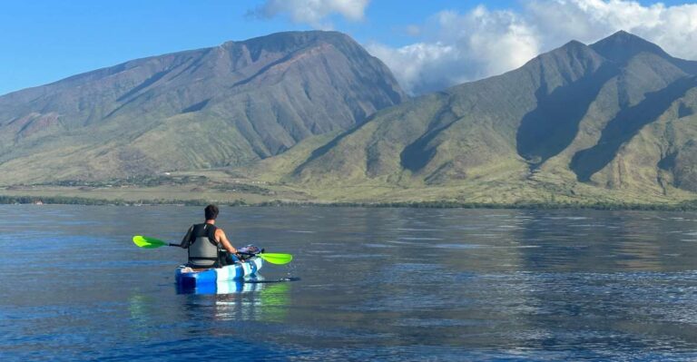 Kayak, Whale Watch And Snorkel At Turtle Town