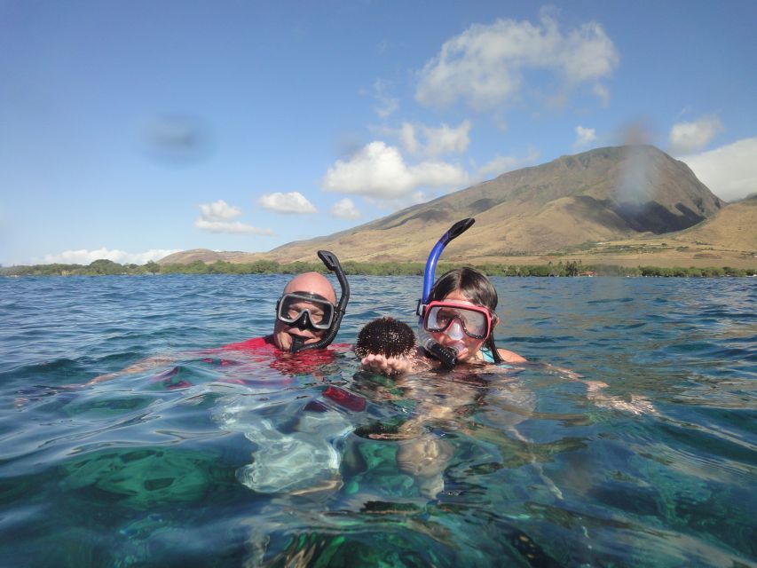 Kayaking and Snorkeling at Turtle Reef - Additional Tips and Reminders