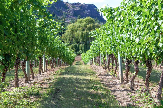 Kelowna or West Kelowna Afternoon Sightseeing Wine Tour - Variety and Atmosphere Feedback