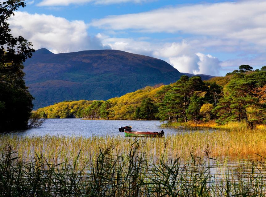 Kerry: Full-Day Tour From Dublin - Visitor Experience and Ratings