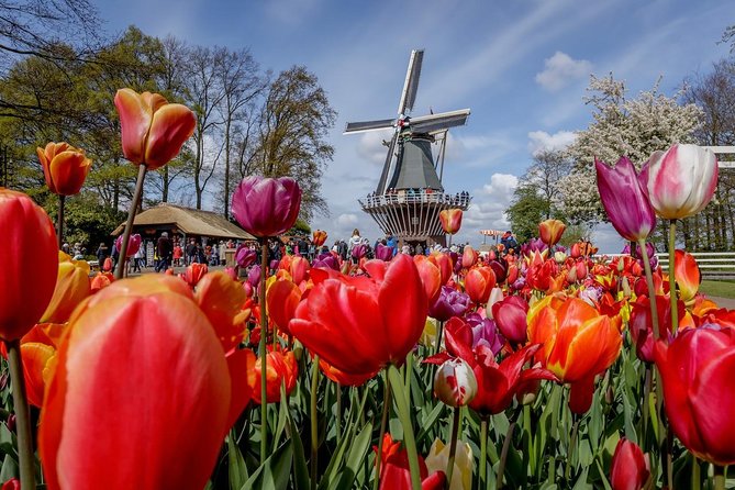 Keukenhof Private Tour & Into Flowerfields off the Beaten Tracks - Common questions
