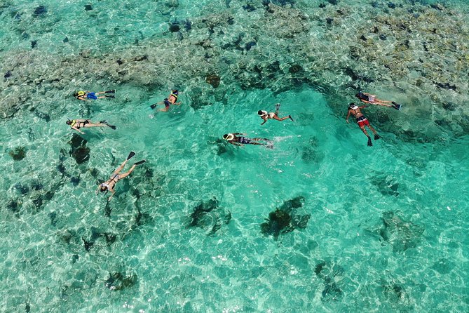 Key West Afternoon Reef Snorkeling With Open Bar - Last Words