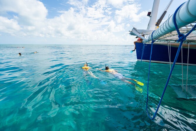 Key West Snorkel Experience With Live Music, Cocktails & More! - Last Words