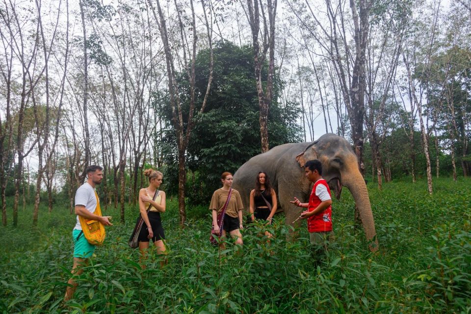 Khao Lak Eco Safari: Elephant Sanctuary Small Group Tour - Key Points