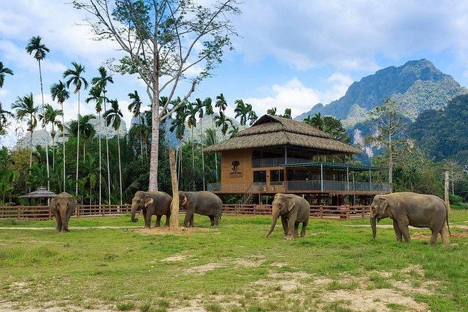 Khao Sok National Park Jungle Safari Full Day Tour From Phuket - Last Words