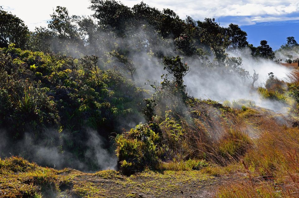 Kilauea: Volcanoes National Park Guided Hike - Last Words