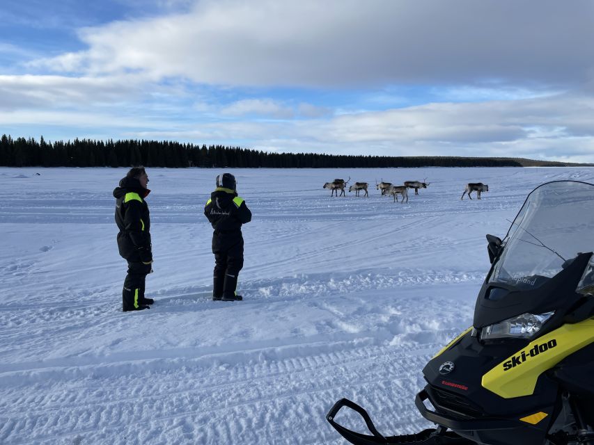 Kiruna: Guided Morning Snowmobiletour (8:30) and Fika - Last Words