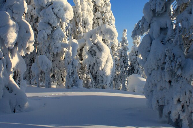 Kiruna Small-Group Snowshoe Activity - Last Words