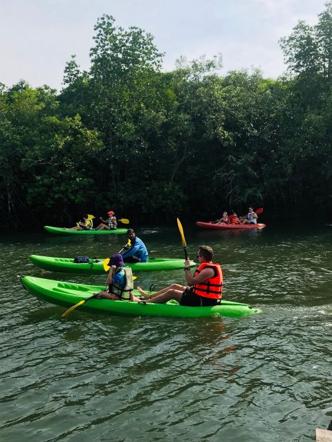 Ko Lanta: Half-Day Mangrove Kayaking Tour With Lunch - Additional Information