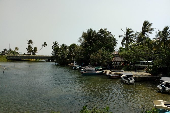 Koggala Lake Boat Tour - Last Words