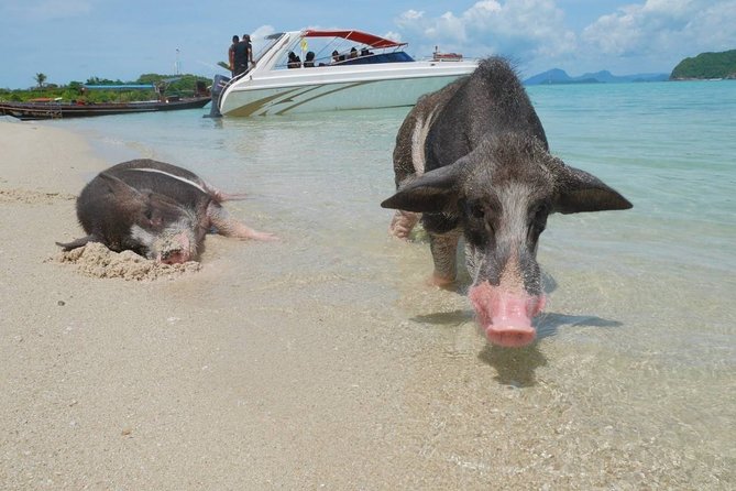 Koh Tan and Koh Madsum Snorkeling Trip By Speedboat From Koh Samui - Booking Details